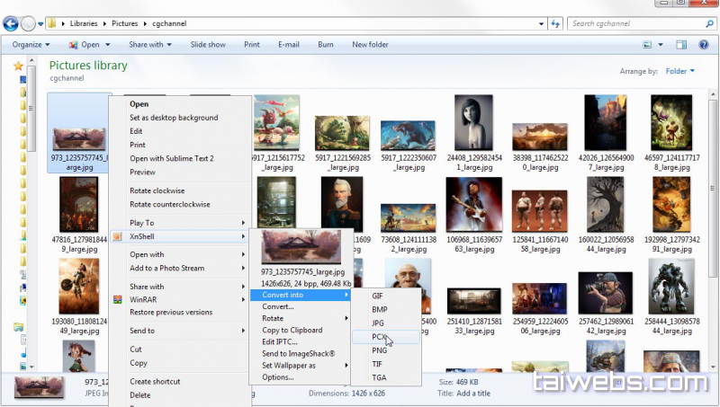 点击查看图片 XnView Shell Extension (XnShell) XnView Shell 扩展 (XnShell)